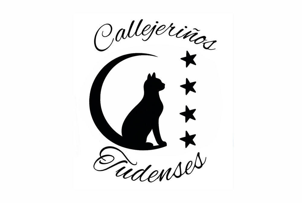 Asociación Callejeriños Tudenses